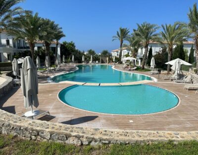 Kıbrıs Town Menekşe